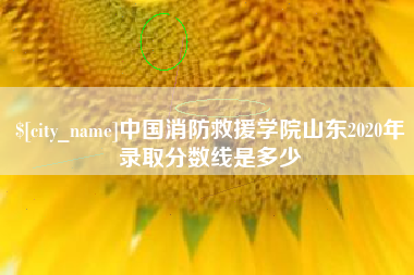 抚顺中国消防救援学院山东2020年录取分数线是多少