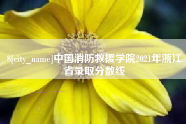 抚顺中国消防救援学院2021年浙江省录取分数线