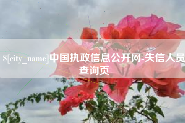 抚顺中国执政信息公开网-失信人员查询页