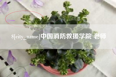 抚顺中国消防救援学院 老师
