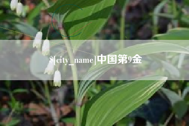 抚顺中国第9金