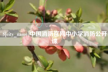 抚顺中国消防官网中小学消防公开课