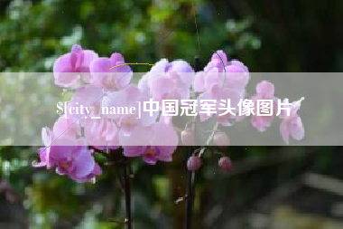 抚顺中国冠军头像图片