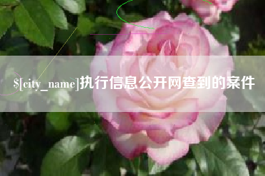 抚顺执行信息公开网查到的案件