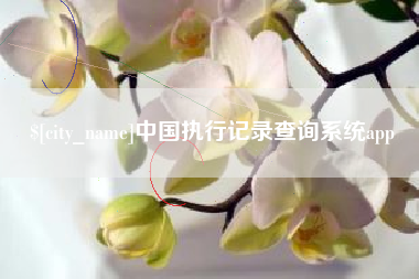 抚顺中国执行记录查询系统app