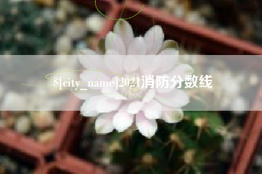 抚顺2021消防分数线