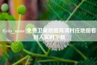 抚顺免费卫星地图高清村庄地图看到人实时下载