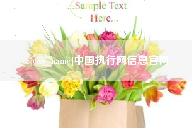 抚顺中国执行网信息官网