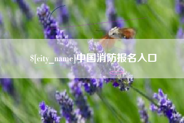 抚顺中国消防报名入口