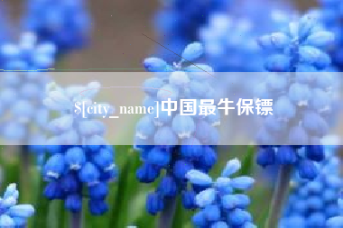 抚顺中国最牛保镖