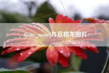 抚顺九宫格龙图片