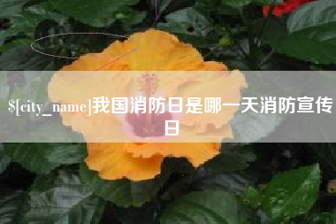 抚顺我国消防日是哪一天消防宣传日