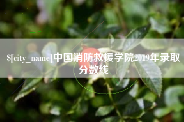 抚顺中国消防救援学院2019年录取分数线