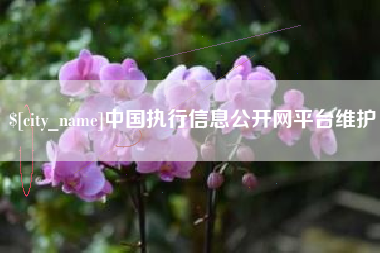 抚顺中国执行信息公开网平台维护