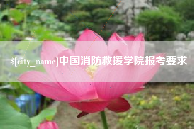 抚顺中国消防救援学院报考要求