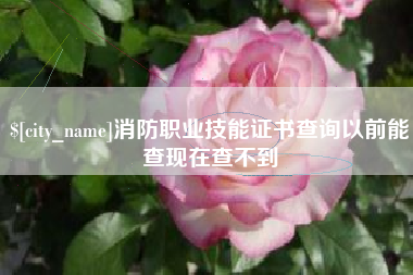 抚顺消防职业技能证书查询以前能查现在查不到