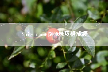 抚顺5000米及格成绩