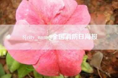 抚顺全国消防日海报