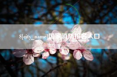 抚顺国家消防报名入口