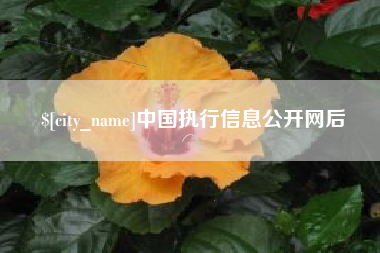 抚顺中国执行信息公开网后