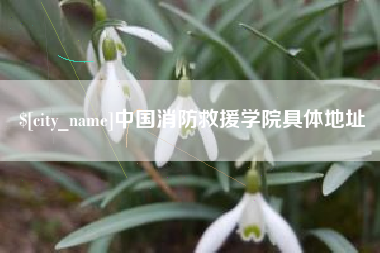 抚顺中国消防救援学院具体地址