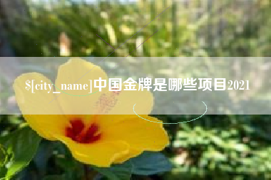 抚顺中国金牌是哪些项目2021