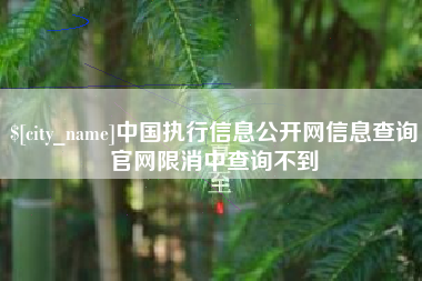 抚顺中国执行信息公开网信息查询官网限消中查询不到
