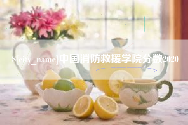 抚顺中国消防救援学院分数2020