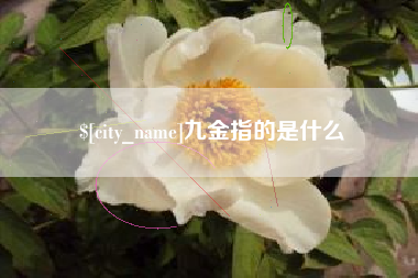 抚顺九金指的是什么