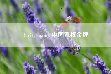 抚顺中国九枚金牌