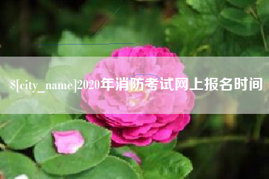 抚顺2020年消防考试网上报名时间