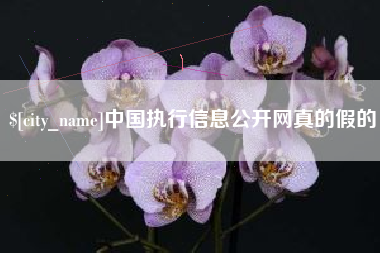 抚顺中国执行信息公开网真的假的