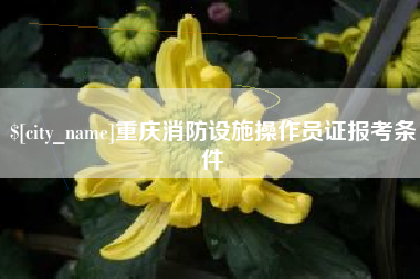 抚顺重庆消防设施操作员证报考条件