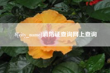 抚顺消防证查询网上查询