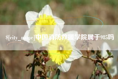 抚顺中国消防救援学院属于985吗