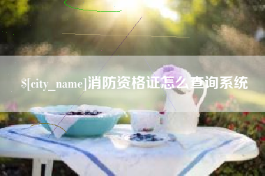 抚顺消防资格证怎么查询系统