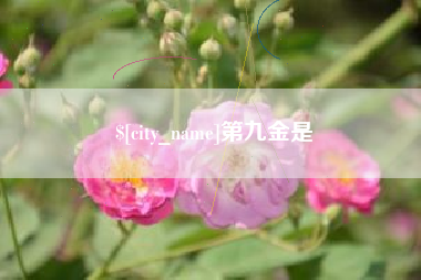抚顺第九金是