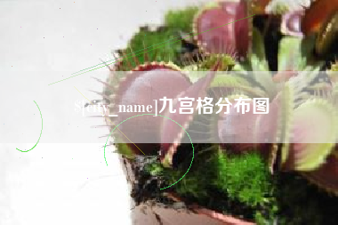 抚顺九宫格分布图