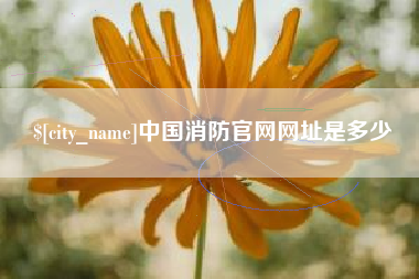 抚顺中国消防官网网址是多少