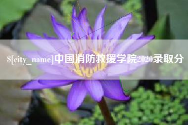 抚顺中国消防救援学院2020录取分