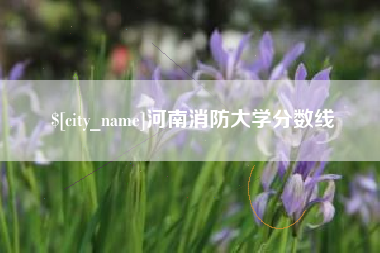 抚顺河南消防大学分数线