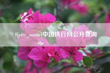 抚顺中国执行网公开查询