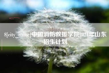 抚顺中国消防救援学院2021年山东招生计划