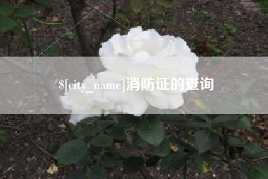 抚顺消防证的查询