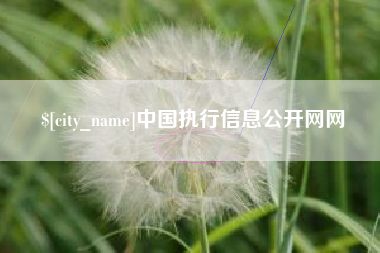 抚顺中国执行信息公开网网
