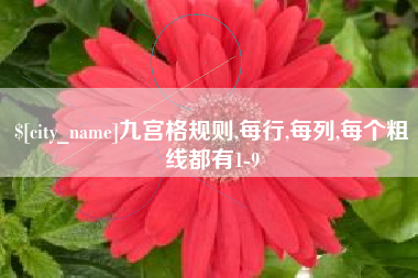 抚顺九宫格规则,每行,每列,每个粗线都有1-9