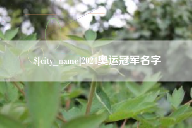 抚顺2024奥运冠军名字