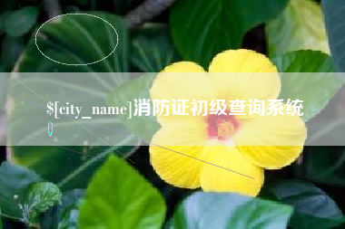 抚顺消防证初级查询系统