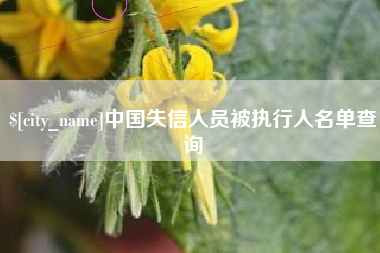 抚顺中国失信人员被执行人名单查询