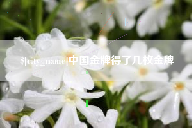 抚顺中国金牌得了几枚金牌